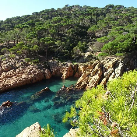 Velas Garden Pool شقة